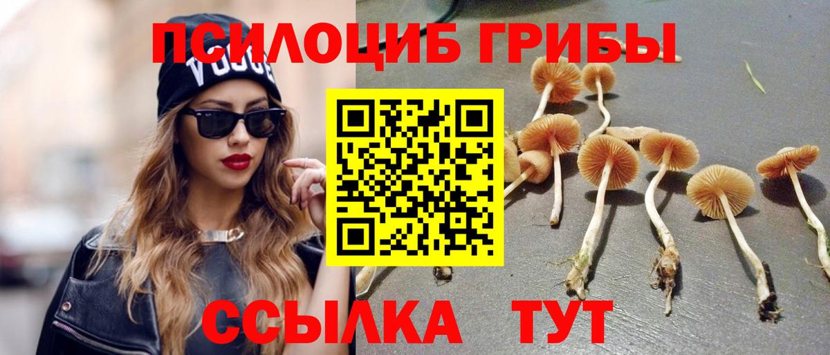 Псилоцибиновые грибы Magic Shrooms  Вход с VPN  Нефтекумск 