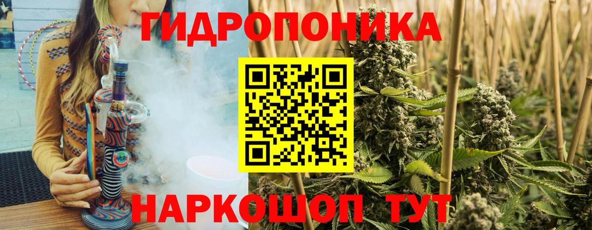 Нефтекумск  Марихуана план  Бошки марихуана планчик  Каннабис Bruce Banner  Вход с VPN 